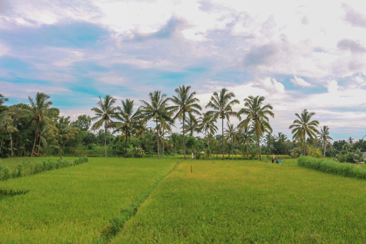 Pondok Rinjani Bungalow Тетебату Экстерьер фото